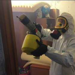 Уничтожение клопов в квартире. Тавда